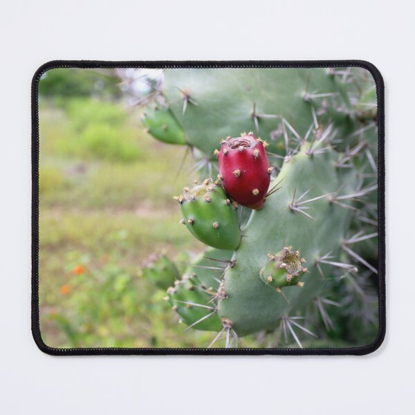 Item preview, Prickly Pear Fruits. designed and sold by VgBingi.