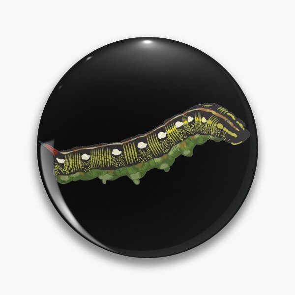 Item preview, Striped Hark-moth caterpillar (dark) designed and sold by Flodaj.