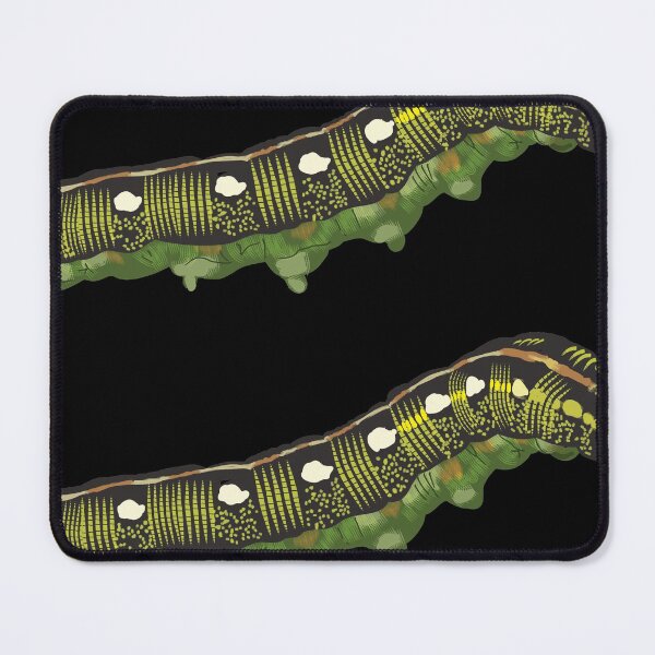 Item preview, Striped Hark-moth caterpillar (dark) designed and sold by Flodaj.