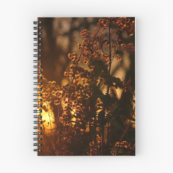 Item preview, Goldenrod at Sunset designed and sold by cuprum.