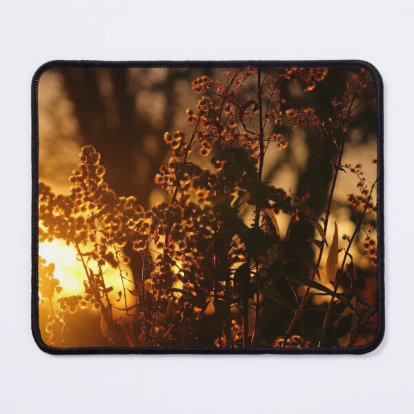Item preview, Goldenrod at Sunset designed and sold by cuprum.