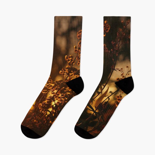 Item preview, Goldenrod at Sunset designed and sold by cuprum.
