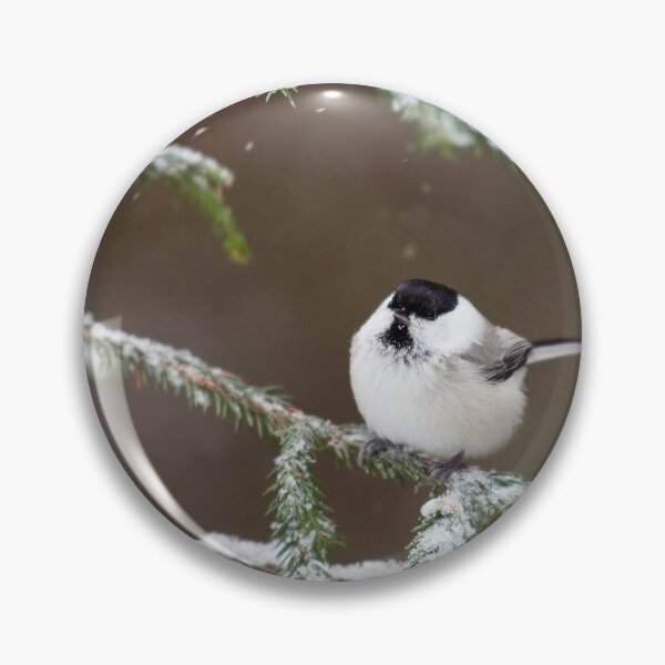 Item preview, Willow tit in snow sitting on a spruce branch designed and sold by Jouko Lehto Photography.