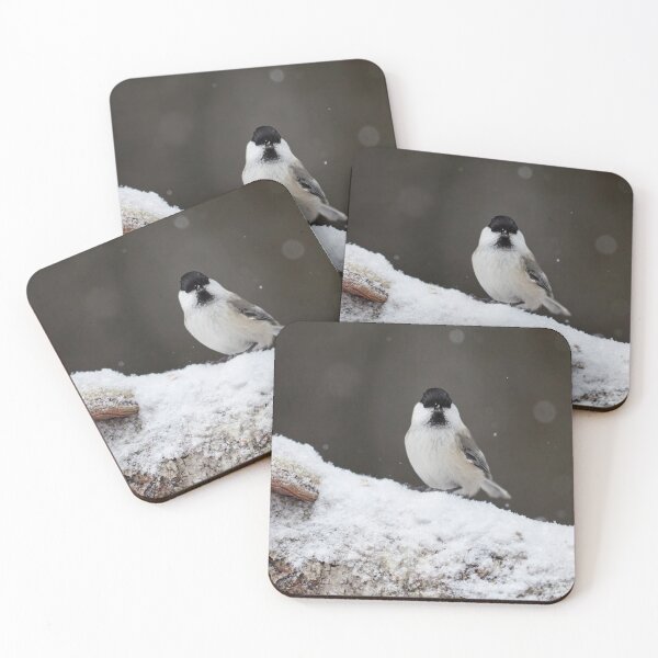 Item preview, Wake up wake up. Willow tit designed and sold by Jouko Lehto Photography.