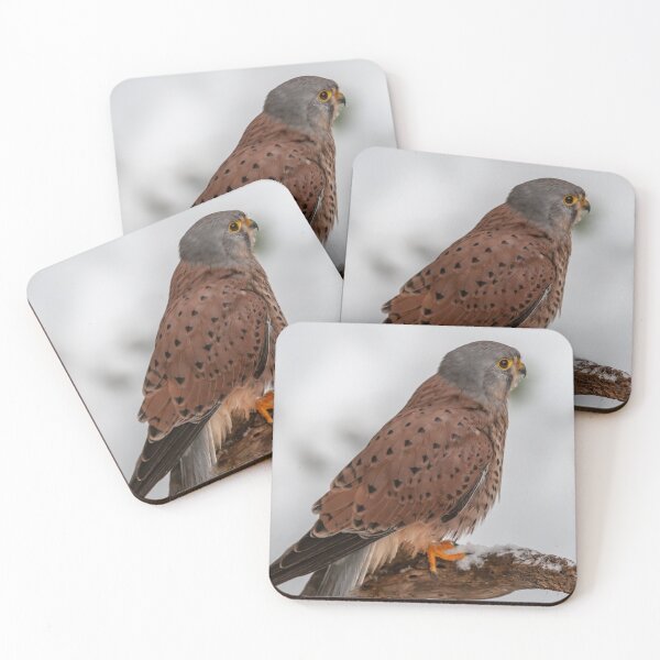 Item preview, Kestrel in the snow designed and sold by Ingo Gerlach.