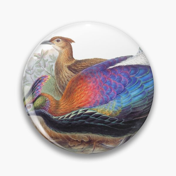 Aperçu de l'œuvre Lophophorus, faisan, oiseau créée et vendue par Valifer.