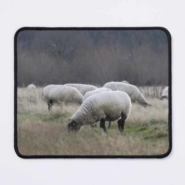 Item preview, feeling sheepish designed and sold by Gaynor-dI.