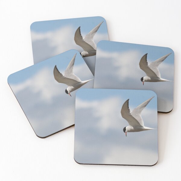 Item preview, Common Tern designed and sold by Tom-Harris.