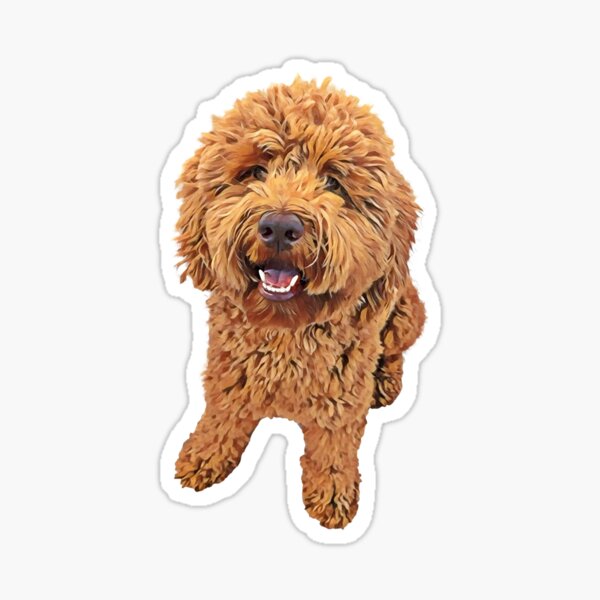 Item preview, Red Goldendoodle designed and sold by MameDesign.