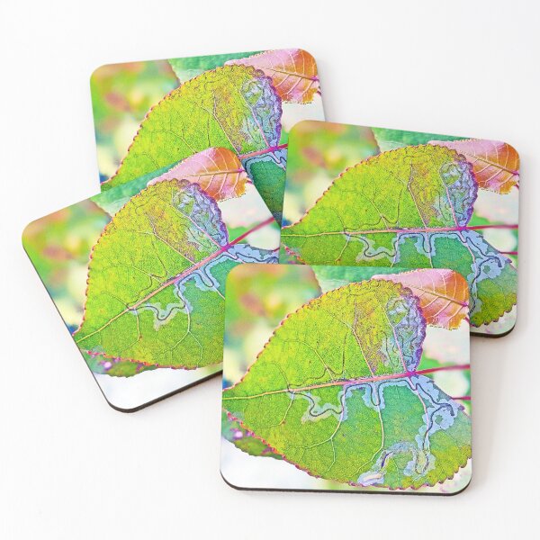 Item preview, Aspen Leaf Miner designed and sold by BugNews.