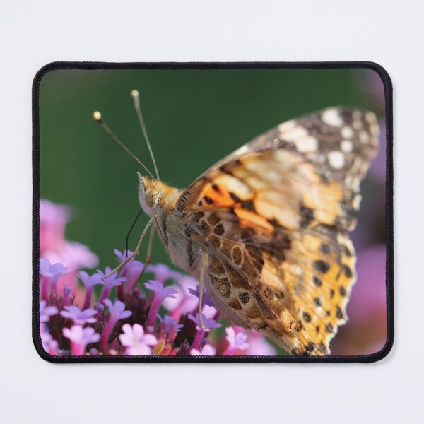 Item preview, Painted Lady designed and sold by cuprum.