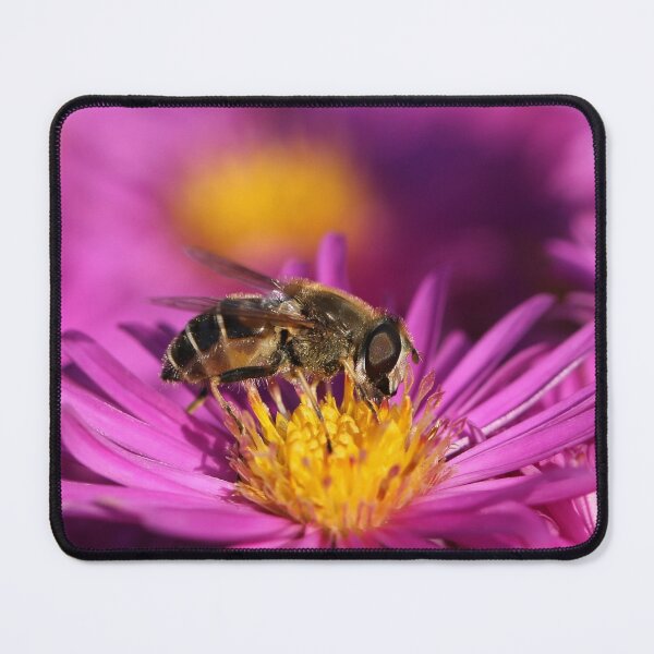Item preview, Lunchtime! designed and sold by cuprum.