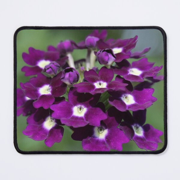 Item preview, Garden Verbena designed and sold by cuprum.