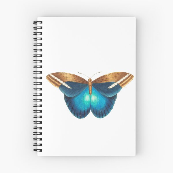 Item preview, Great occidental butterfly designed and sold by Valifer.