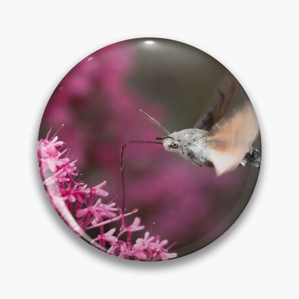 Item preview, Hummingbird Hawkmoth designed and sold by Tom-Harris.