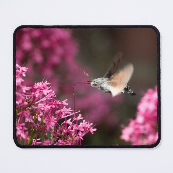 Item preview, Hummingbird Hawkmoth designed and sold by Tom-Harris.