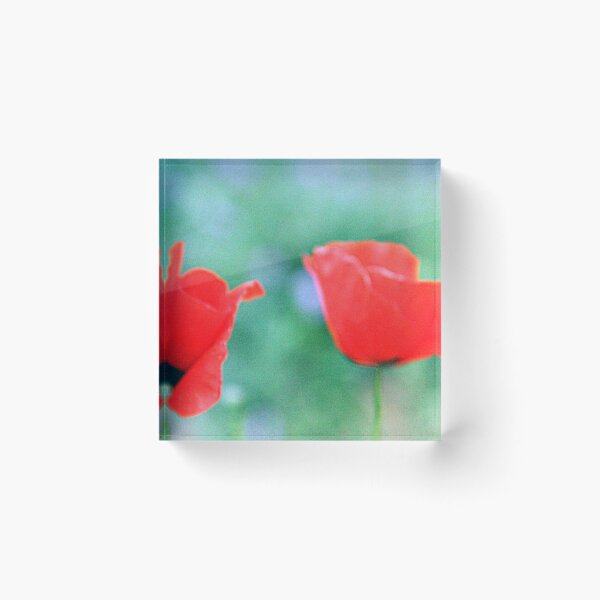 Item preview, Lillo e Greg designed and sold by gluca.