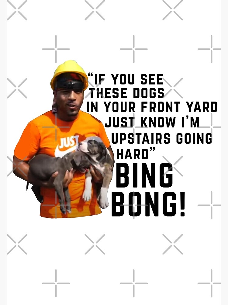 "BING BONG if you see these dogs in your front yard bing bong meme