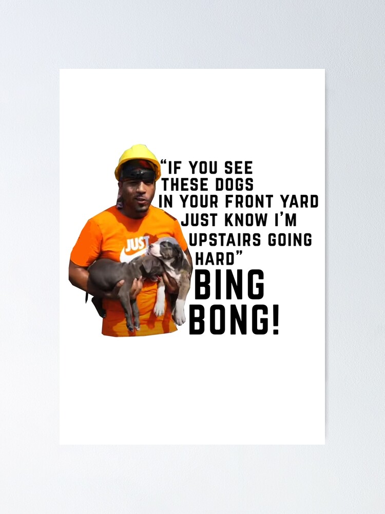 "BING BONG if you see these dogs in your front yard bing bong meme