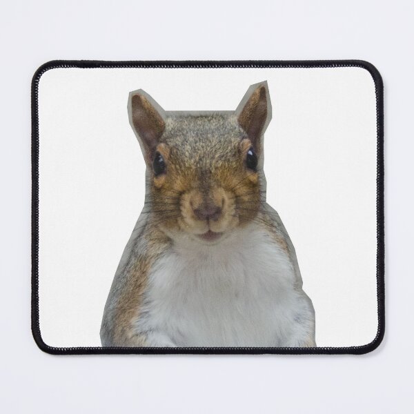 Item preview, Grey Squirrel designed and sold by FocalSpot.