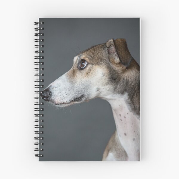 Item preview, Lotti saluki lurcher designed and sold by Penel.
