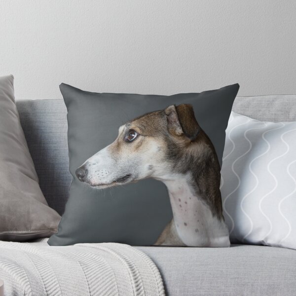 Item preview, Lotti saluki lurcher designed and sold by Penel.