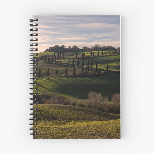 Item preview, Cyprus trees lining and Etruscan Road, La Foce, Tuscany, Itlay designed and sold by AndrewJonesFoto.