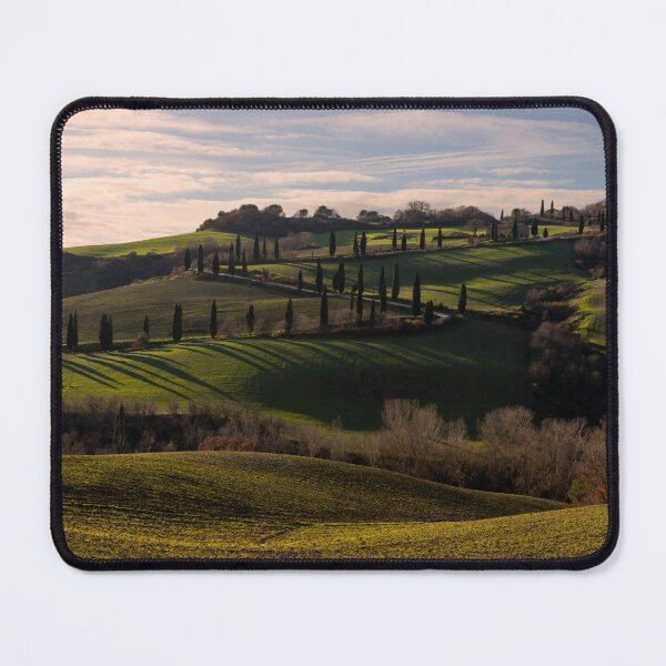 Item preview, Cyprus trees lining and Etruscan Road, La Foce, Tuscany, Itlay designed and sold by AndrewJonesFoto.
