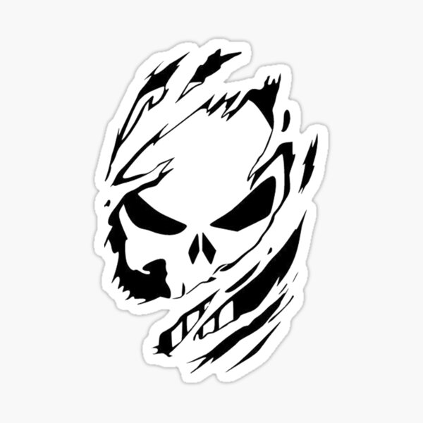 Skull skeleton Skull skeleton