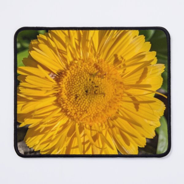 Item preview, Pretty Yellow Flower designed and sold by Andersong.