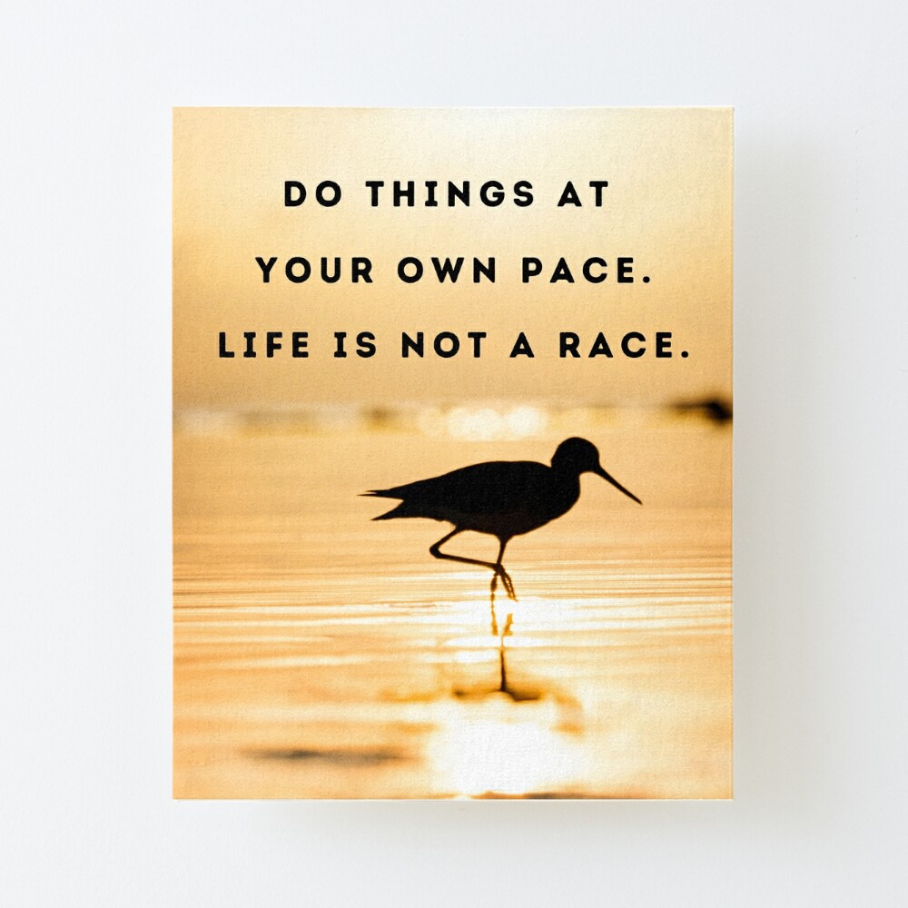 Do things at your own pace. Life's not a race