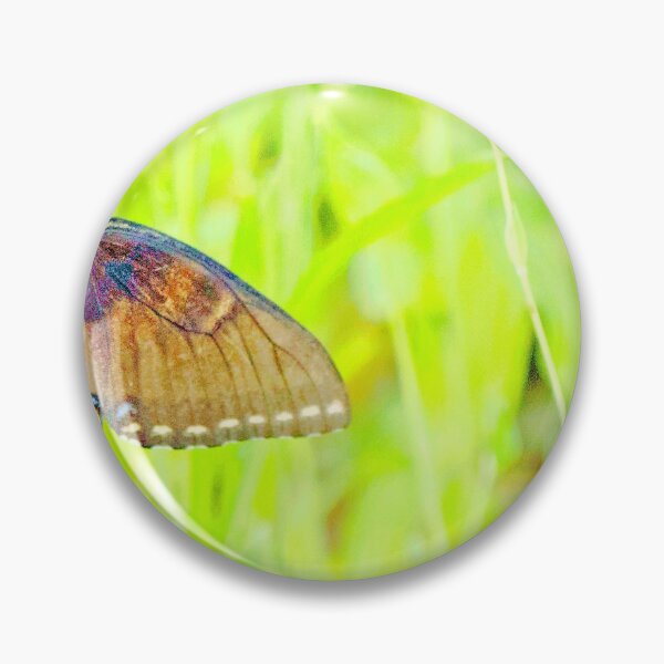 Aperçu de l'œuvre Papillon machaon, Prairie d'été créée et vendue par AMacGPhilly.