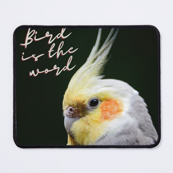Item preview, B-b-b-bird, b-birdd is the word designed and sold by PAPAYAGO.