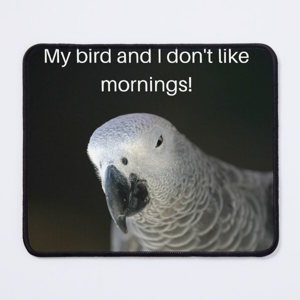 Item preview, My bird and I don't like mornings! designed and sold by PAPAYAGO.