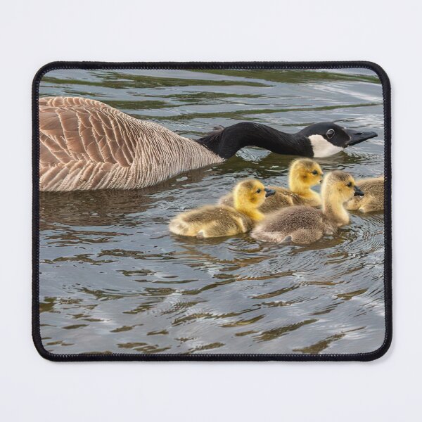 Item preview, Easy don’t go there! designed and sold by naturesdreams.