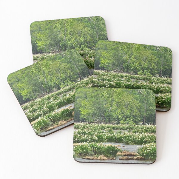 Item preview, Shoals Spider Lily At Landsford Canal State Park South Carolina Panorama designed and sold by LisaWootenPhoto.