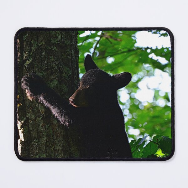 Item preview, Baby Bear Climbing A Tree 2 designed and sold by LisaWootenPhoto.