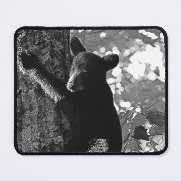 Item preview, Baby Bear Climbing A Tree Black And White designed and sold by LisaWootenPhoto.