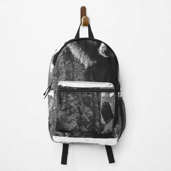 Item preview, Baby Bear Climbing A Tree Black And White designed and sold by LisaWootenPhoto.