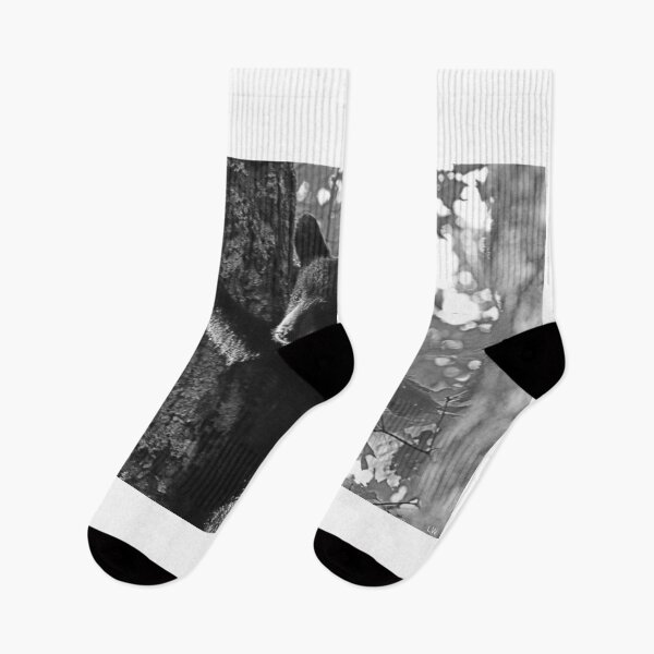 Item preview, Baby Bear Climbing A Tree Black And White designed and sold by LisaWootenPhoto.