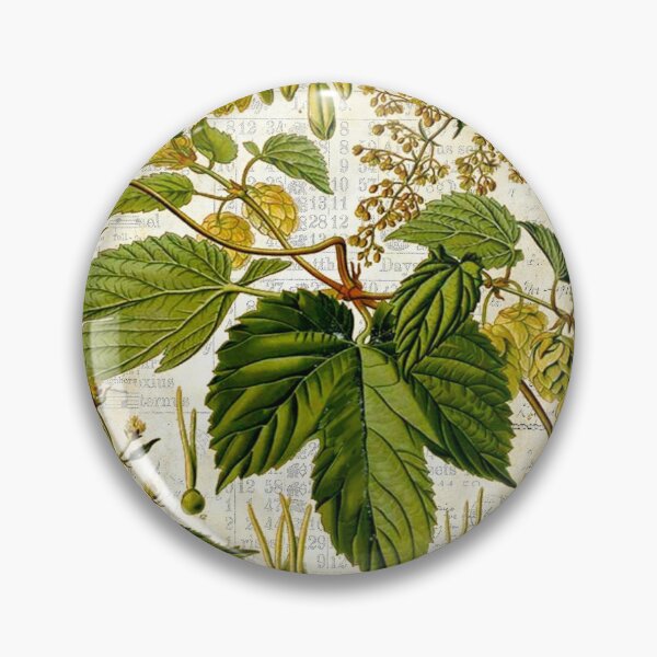 Item preview, Retro Botanical Common Hops designed and sold by missdebi27.