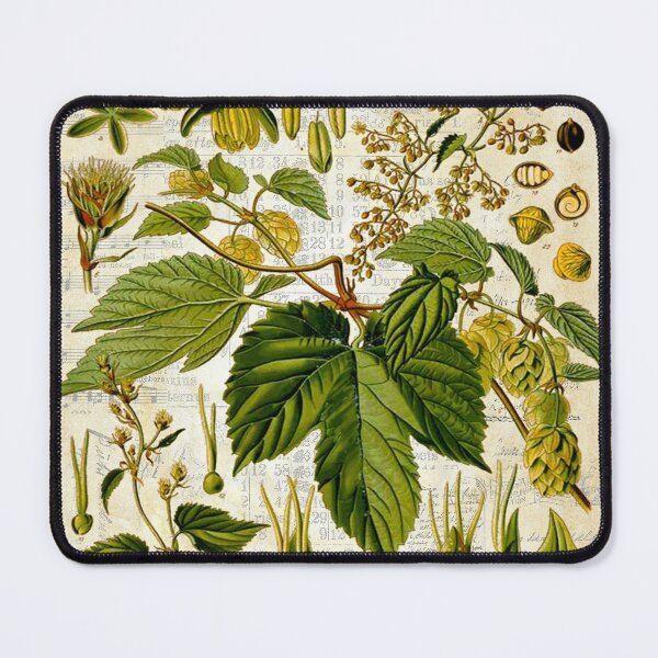 Item preview, Retro Botanical Common Hops designed and sold by missdebi27.