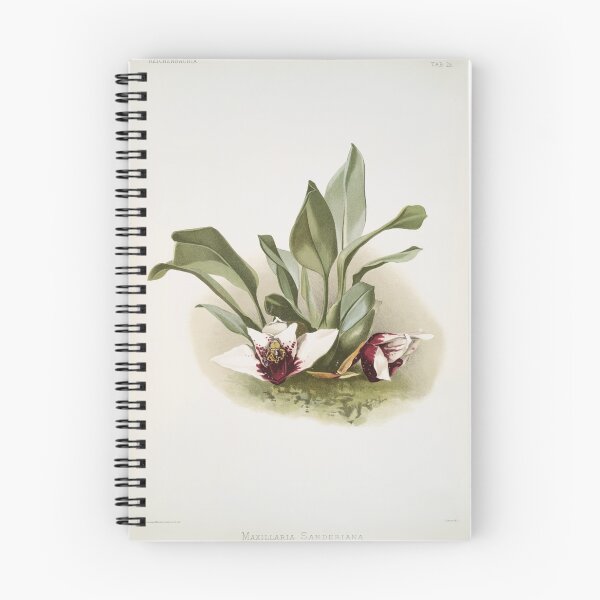 Item preview, Reichenbachia: Orchids Illustrated and Described designed and sold by EsotericBotanic.