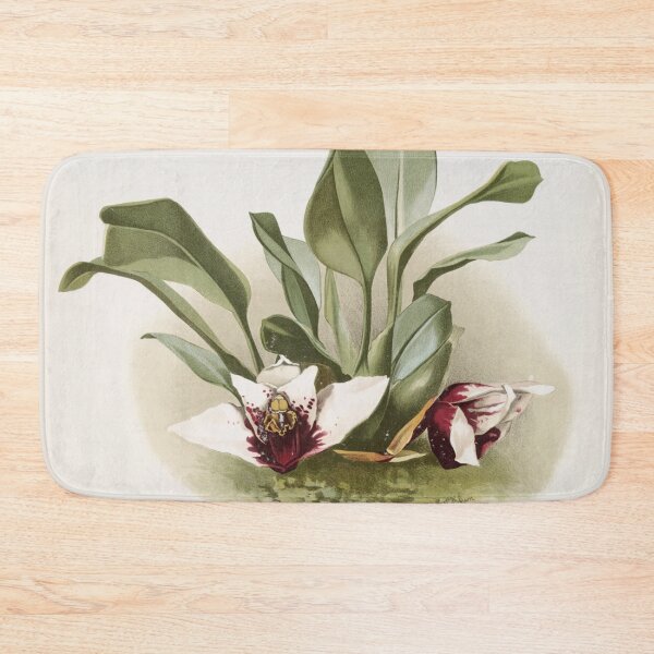 Item preview, Reichenbachia: Orchids Illustrated and Described designed and sold by EsotericBotanic.