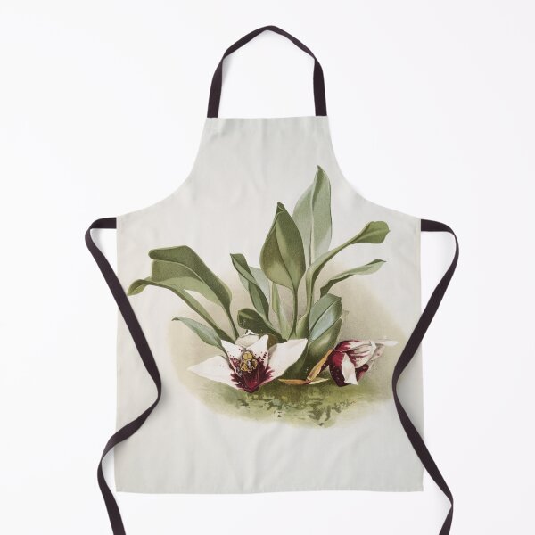 Item preview, Reichenbachia: Orchids Illustrated and Described designed and sold by EsotericBotanic.