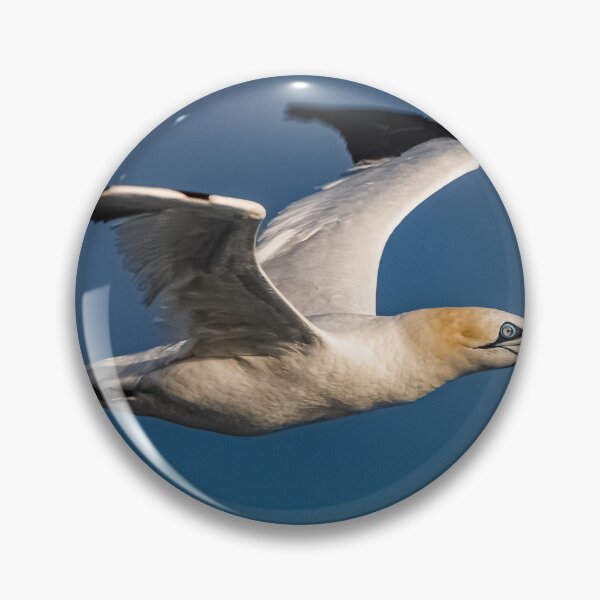 Item preview, Gannet designed and sold by Tom-Harris.