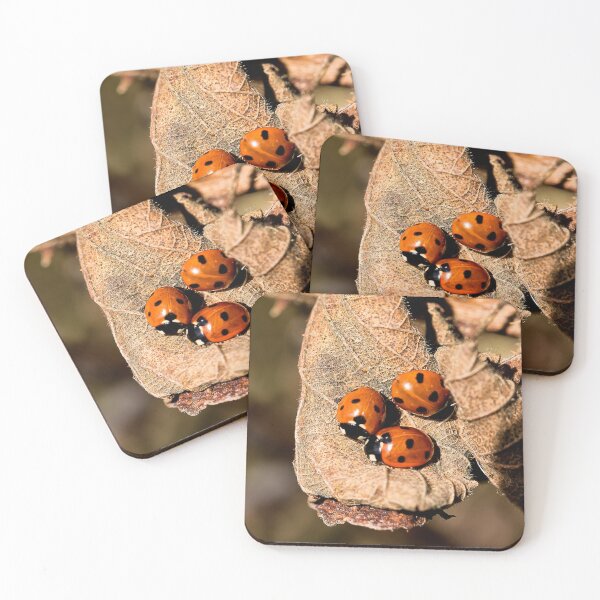 Item preview, Ladybird trio designed and sold by Violaman.