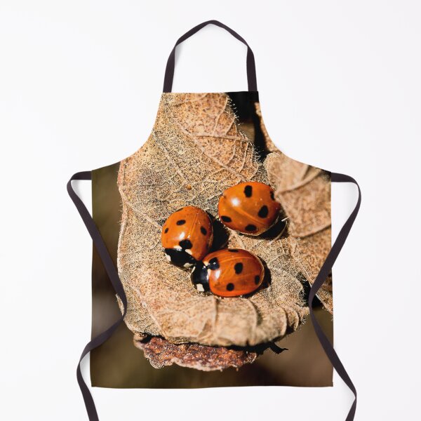 Item preview, Ladybird trio designed and sold by Violaman.