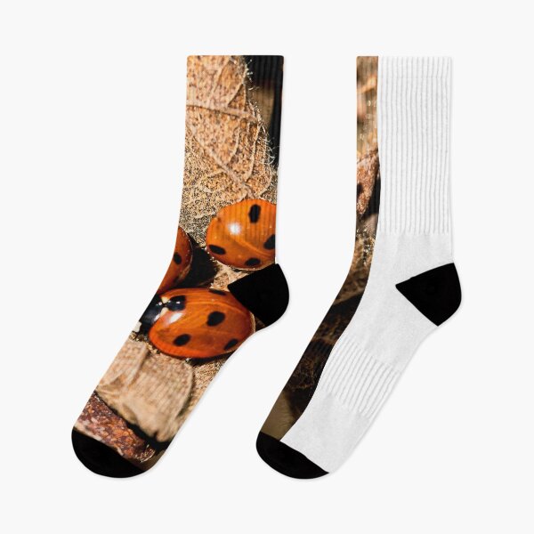 Item preview, Ladybird trio designed and sold by Violaman.