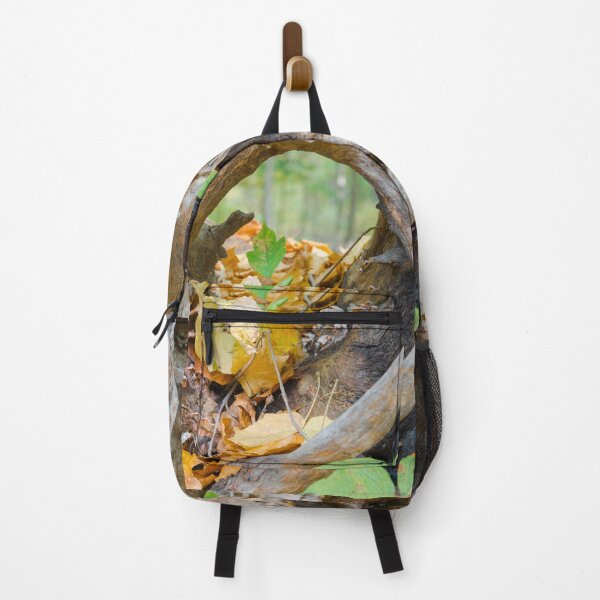 Item preview, Autumn Leaves and Exposed Roots designed and sold by Bill Spengler's Photographic Thoughts.